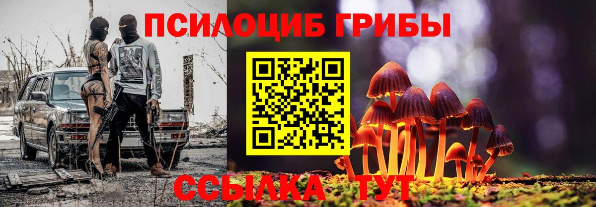 Галлюциногенные грибы прущие грибы Котельники