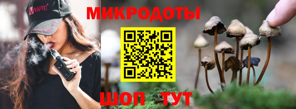 Галлюциногенные грибы Psilocybe  Вход с VPN  Псилоцибиновые грибы прущие грибы  Котельники 