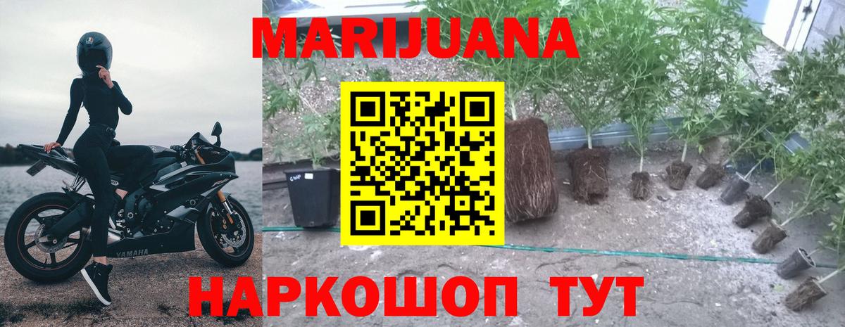 Шишки марихуана индика Котельники